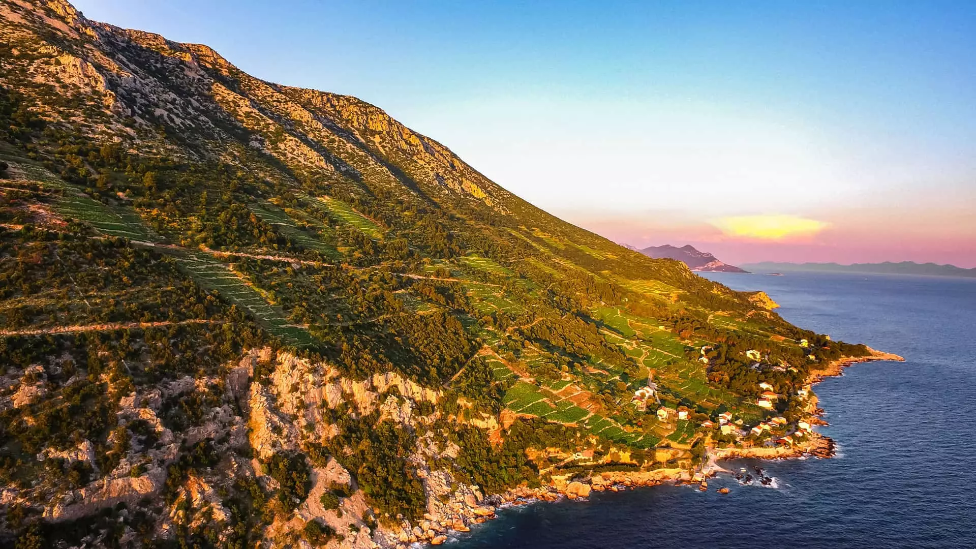 Vineyards on the Pelješac peninsula, home to the famous Dingač wine